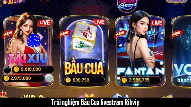 Trải nghiệm bầu cua livestream Rikvip có gì đặc biệt?